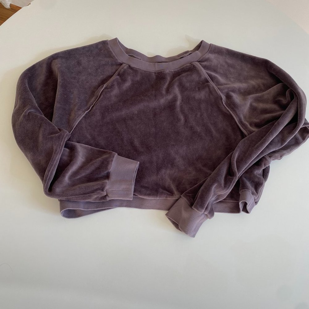 Suzie Kondi Cropped Velour Sweatshirt